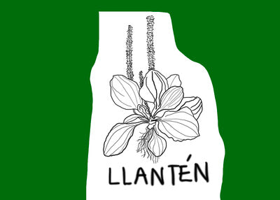 Llantén. $5 / month